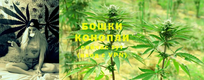 блэк спрут маркетплейс  Заводоуковск  Шишки марихуана Ganja 